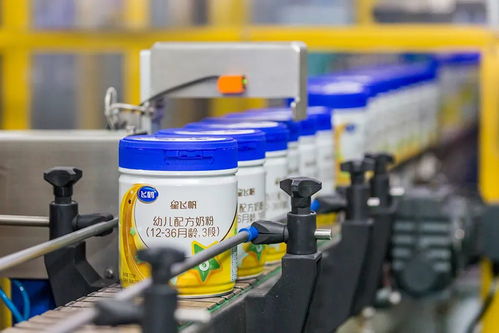 飛鶴數字化轉型5年 搭建起 產業數字化 生態