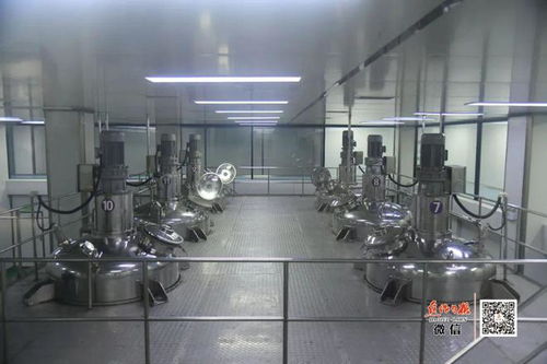 隱形冠軍 走到舞臺中央 寫在溫縣通過 中國速食調(diào)味料之都 評審時